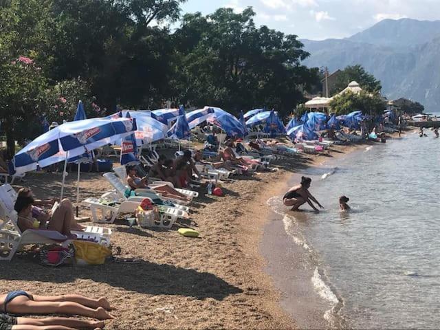Villa Nikola Kotor Bagian luar foto