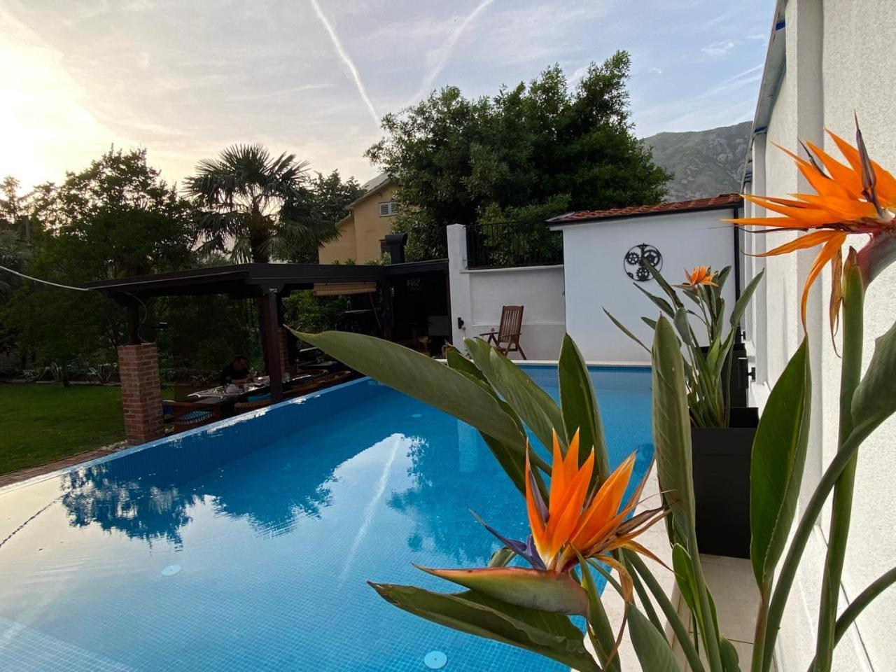 Villa Nikola Kotor Bagian luar foto